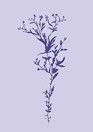 2024-05-14/78aafdffddf656d619edf1c6479e2564_8df87ac80fe16e2d1aa52fdc3edd00fe