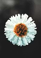 2024-05-15/0e69205fc46c98a4412614957ad26d94_7c348c4bc4bc2fd041218a348751affe