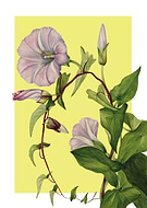 2024-05-15/7c0ea37446ea126c433c767ea86beca3_2e4c5e552c2a7ef9b94fe8233b1ebf67