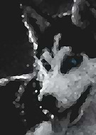 2024-05-15/f62ca040e44a3c2d01cd553ed39337c9_20c03b6488f49a304202d1fff410baf0