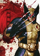 collection-preview-3