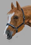 2024-05-19/f0689956574ce3a9990ed85adf0df5c5_0bb8c0ee69eeb948df500584d7d78b2e