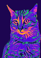 2024-05-22/a1a91da85ea89b590122c0418ccb4be3_29018f61abd40792114720b84c226bfe