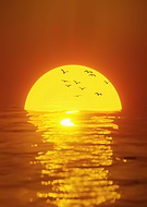 2024-05-22/a6089700aed7f8ef5bf11644d6984745_fd36e7e032417af27b0346241ae75aae