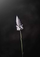 2024-05-27/5b8d37a8a69b1f0b75edf40aa3ccedc1_67de7dd68665eb1cd79073d6c8672ed5