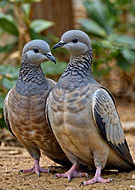 2024-05-27/860196fe2fe021d474d904fc48f23e10_de36e38208dd3002fb2c247cebcd349b