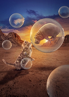 2024-05-30/e87aab9dbee043ee244a997deb523814_0a9ddb8604230799766ed30382c2f922