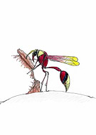 2024-06-02/2deae59c542086ceb947c16b027c4fba_f5326cba15076ca9844237d69f0a545f