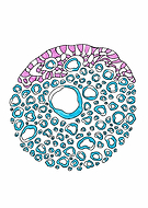 2024-06-02/8a9a36e8aed99dc02f0aa7bba77c315e_b0f02adfb909be5a9f2b459197928320