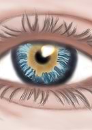 2024-06-09/f6b20ec3f4d5662b84955eb4d6f8e791_fda5f2281bd624fc5cae27407a45bab4