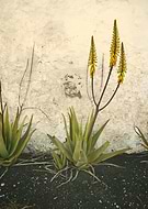 2024-06-11/794dce91323864dab0babf885c5462d2_56f8277c37886d487e1ae935c593923d