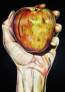 2024-06-11/7b065ff99da239c1e9e3eab2c29032cb_d52b8eda3cd2bd4f08a1584724daab0d