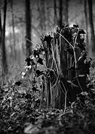 2024-06-12/626c58162bec97214c9d86d3d6ddbfdd_14fba69cc452b623b3d16f1a18753514