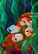 2024-06-12/da29d9fe625dd87e205e2bd95b0eb2c8_c8e27d507d129cdba4a4a8f827634269