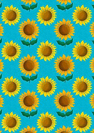 2024-06-13/3784446db0af74dedf686e80efefe3be_47a4fab029f6f5043b12cb62fa38ce10