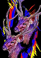 2024-06-14/5c28ec0ee95ad3159938bc3e599851e8_2411fc131fd77ad3ce940c77f68fb99c