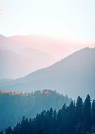 2024-06-17/a082e5aaf13d142240b56fc231f6d264_2c92d8232745a8325de0c0e3df16f984