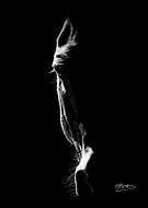 2024-06-19/7dd7d40d0b832ad22504e7ae69f44705_37f7de2926729d148aaa0c0f15ccf8d9