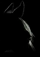 2024-06-19/efda5d3c34636d455d377dcf77c2d075_81b57c64e19d392931c3488be009d71f