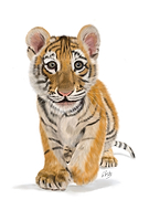 2024-06-22/88f73b194d0ff84210e44e5d73bc852b_652b6a2c605cabf873371075f84f21c9