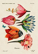 2024-06-24/73869e246bfccafa9fd2598f46bd3687_04eb63fe7e9ed356d6eaa4b36acf1bc3