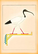 2024-06-26/62e40b6daac3d002983746e57b25efbb_f44b12bf107b6216af95ed5c6041869b