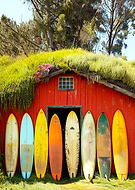 2024-07-08/495d0bcc269802c7a7a56482f0c20bd6_f437ccfaa60d504c580af49196515c5b