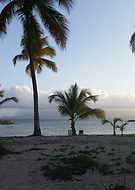 2024-07-09/60ba4e2daab55456b87207ed2484c77d_df2f91b3a0ac328d35ac156c902e9747