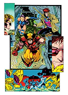 collection-preview-0