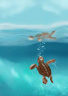 2024-07-17/508ab59c6132bf5f265887ff4bef83da_a317ef331f3160141ef7af10f1d0070a