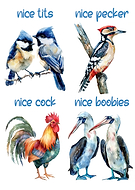 2024-07-22/0e5ccc89b79cb1fe59e65b090a9ad443_75da1743aa0afcdf41e3eb23d1b0cc8d