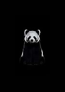 2024-07-24/f881d32a6e70b2e0441ea0e69e9e894e_cb998c8bcfae06139d1653757d9a12dd