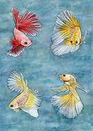 2024-07-27/e9b7c15a86c4f1cff27125b5600e6e5a_0f0195f646771ed442277d6b3076deb8