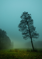 2024-07-28/89b2335695a00711c207808345c12df3_7dad958ffdb5bbfda1d7e0be310f0d47