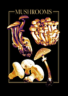 2024-08-04/3d19f2ce989efee063e0e889cf78287b_693100947fb82627c3b7a148f54f8d13