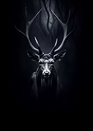 2024-08-05/39986fbae387f4dca7af52452f19aa90_93aaecb403d066afd4a3b85647eac4d2