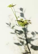 2024-08-05/ff2e8c1fffe6e7aede7588240f2a3459_e54eea38817828b225dac11d21dd12e3