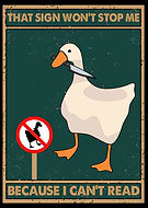 2024-08-06/5884512b7ac05c2ff98bbe013d3c3a48_8b0a31c248061c8969090931e91ee3f7