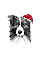 2024-08-07/15383d593fbbda9cc0351ece0935e5fe_ee4507fa61781cc4476f0dca2b603a07