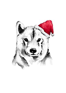 2024-08-07/177f71cafc484eac7c15013a13e40e0e_9a19183bb9ca110d3e5c141ffc1a96b4