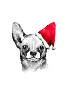 2024-08-07/d2c4b5b99795d4fee660988ebd10ce86_05626e3a3aa3573030c4da05bf566732