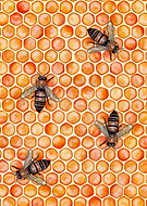 2024-08-08/2d543084c59fbb8480f57d6044818d02_26a2070223433bf45720415142ae30a7