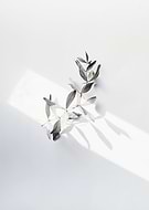 2024-08-08/3895e715e6cef48fb370b57a0424e6a3_c7b6c067a3414944676d07f5e6f505bd