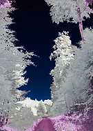 2024-08-09/d46a5a376dbecf854b4af7a997f9f7f3_f2e042c2cef3e1a6feaa136678865332