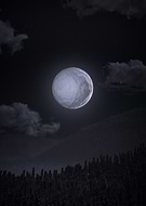 2024-08-09/f99845c38214dedf7ca69eb47574b92c_1f1b88b3d7044409accef4795559bf63