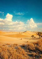 2024-08-10/8e5d6b527a20f56bab516c7b697a1a87_9b8de964f423dfe8ffa171f877f6800c