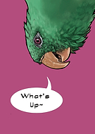 2024-08-11/89cb90ecb7a5f223729cae9e6b6d394d_7718c31cfe1022f5bfe46250ca9026e6