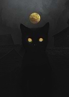 2024-08-11/d1e235132a5f0146a77b6c9df0faf803_8045f4737cec083798e40c2b0031ae47