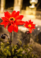 2024-08-12/ced2b9245058a0c84e4e6f2d9635c076_ccd5a1a4ab1d404f48994b29fd7e1688