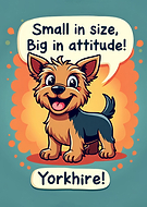 2024-08-13/53ac2ffae8e64d8c9c1180e4366f382a_905d18a445d4a5e6d807324a321be44c